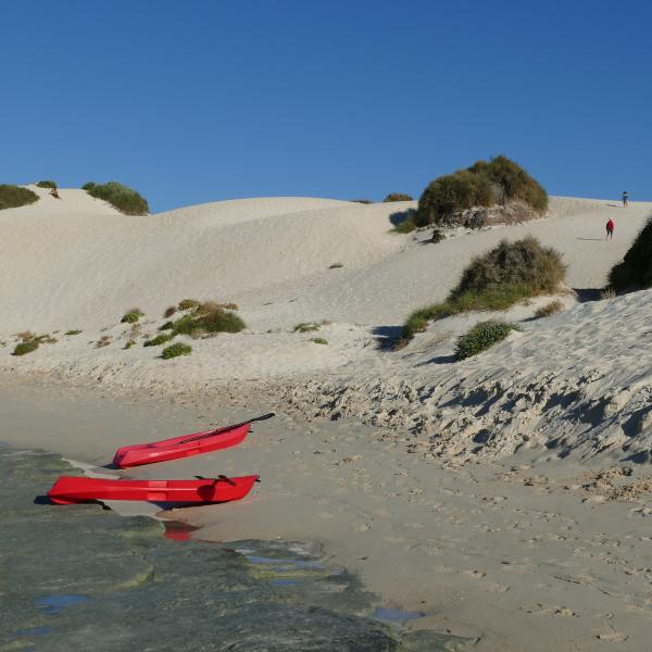 Rottnest Island Australien entdecken Sand Düne Kajak Westaustralien