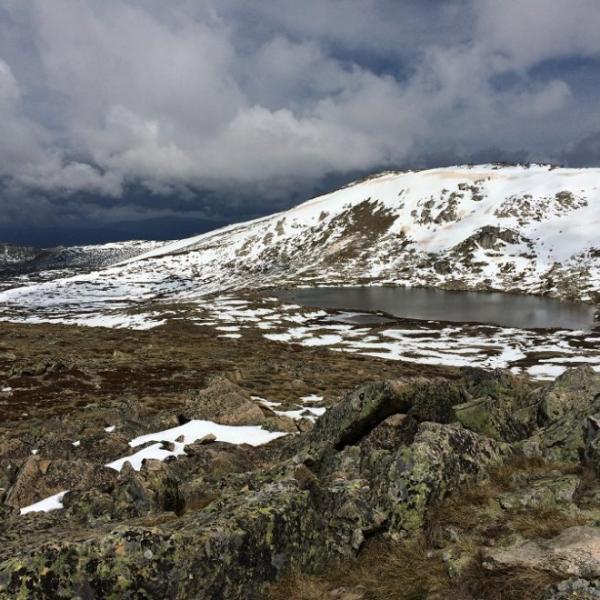 Snowy Mountains Kosciuszko Nationalpark New South Wales Australien entdecken