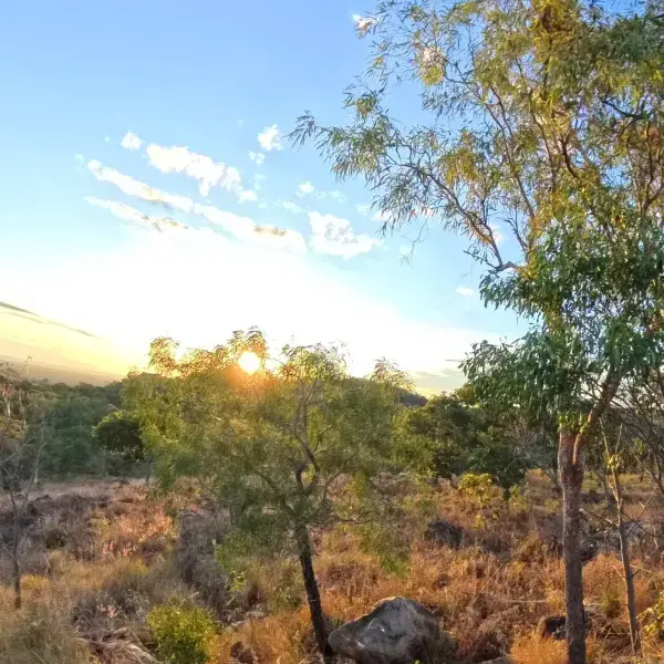 Undara Wildlife at Sunset 