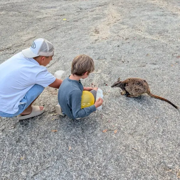 Australien mit Kindern Teenager Rock Wallaby Queensland
