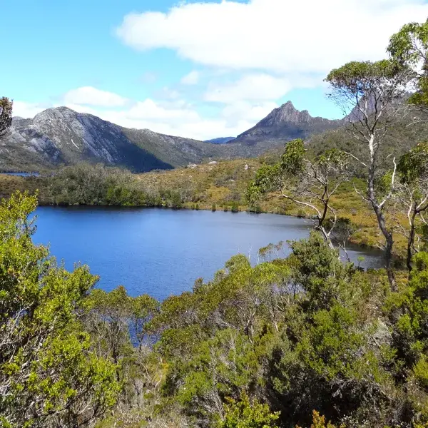 Cradle Mountain Nationalpark See auf Tasmanien Australien