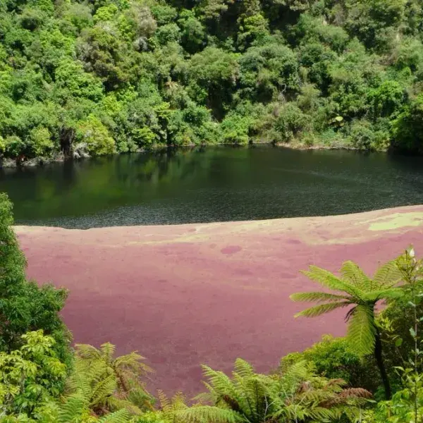 Neuseeland Thermagebiet