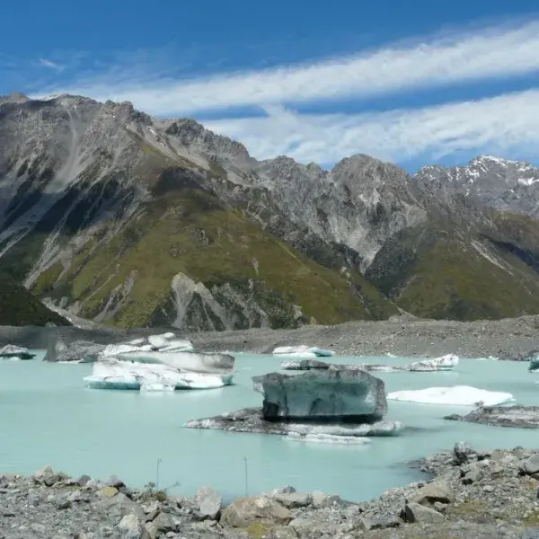 Gletschersee Neuseeland