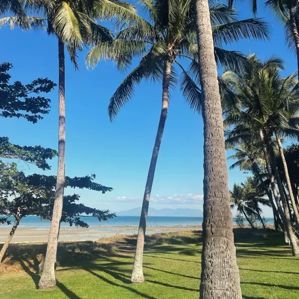 Palmenstrand