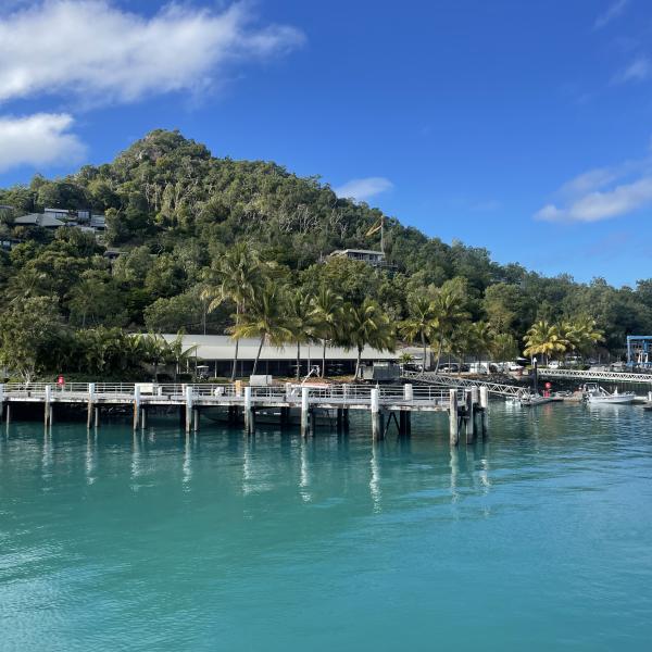Shute Harbour
