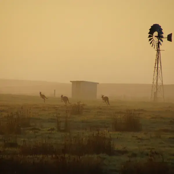 Farmland Australien