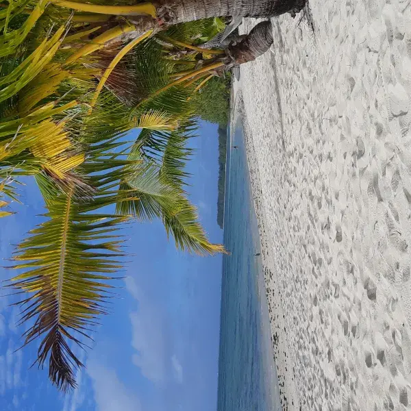 Traumstrand